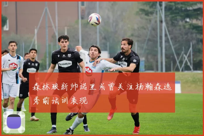 森林狼新帅诺里或曾关注杨瀚森选秀前试训表现
