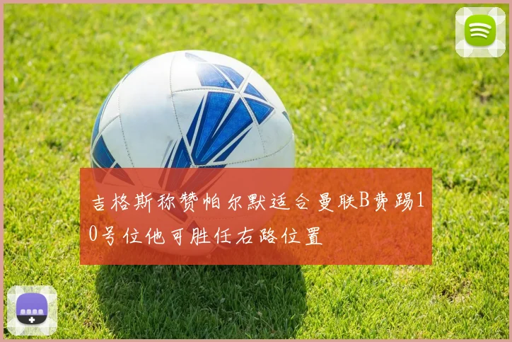 吉格斯称赞帕尔默适合曼联B费踢10号位他可胜任右路位置