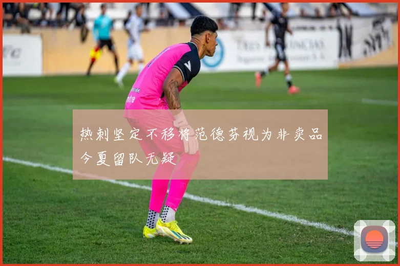 热刺坚定不移将范德芬视为非卖品今夏留队无疑