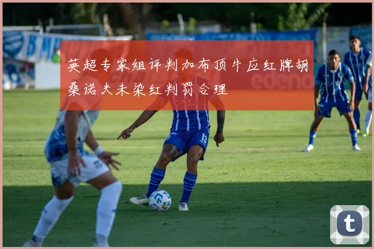 英超专家组评判加布顶牛应红牌胡桑诺夫未染红判罚合理